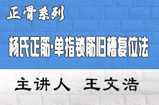 杨氏正筋·单指锁筋归槽复位法徒手治疗60种疑难病临床应用研修班