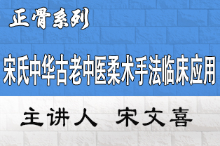 宋氏中华古老中医柔术手法临床应用初级班