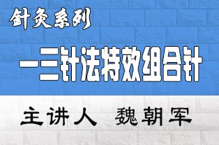 一三针法治疗疼痛及男科、妇科疾病特效疗法临床实战研修班