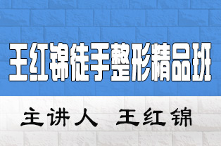 王红锦徒手整形全科班（面部整形+正骨整脊+身材塑造+产后恢复）