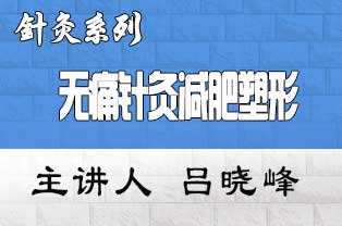 针灸美容培训学校吕晓峰无痛针灸减肥塑形临床应用