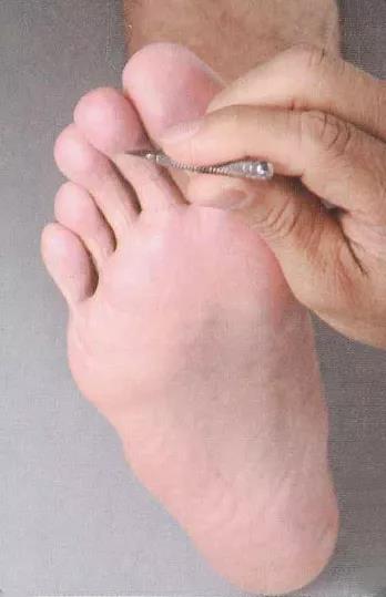 1635236183107446.jpg 22.jpg