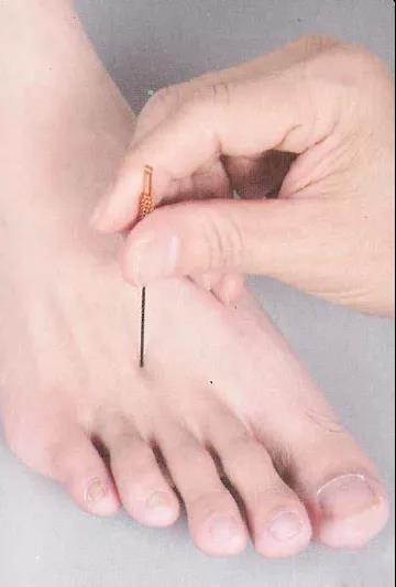 1635401971751334.jpg 33.jpg