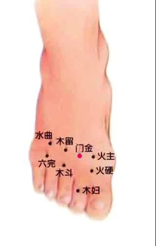 1635401981129990.jpg 3.jpg
