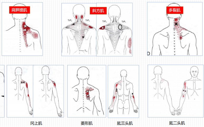 微信图片_20220419121333.png